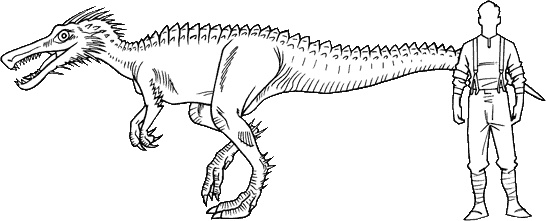 Иллюстрация к книге — Тайна дерева-храма [i_077.jpg]