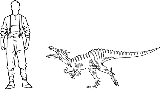 Иллюстрация к книге — Тайна дерева-храма [i_078.jpg]