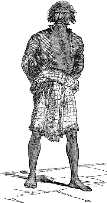 Иллюстрация к книге — Великая Парагвайская война [i_105.jpg]