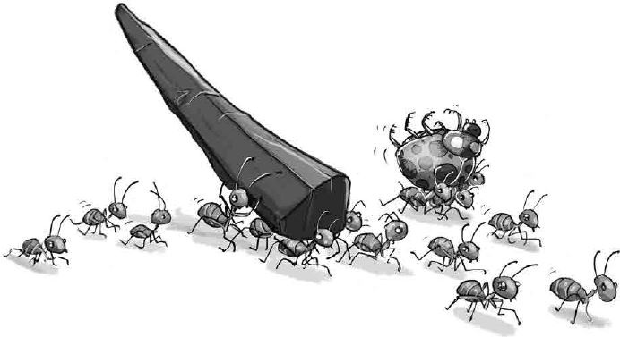 Иллюстрация к книге — Бука. Под землей [i_005.jpg]