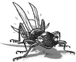 Иллюстрация к книге — Бука. Под землей [i_027.jpg]