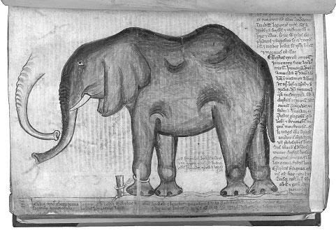 Иллюстрация к книге — Средневековый мир «Игры престолов» [i_038.jpg]