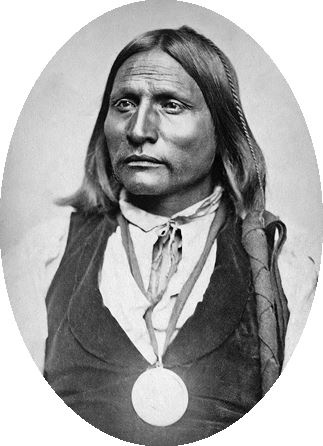 Иллюстрация к книге — Индейские войны [i_040.jpg]