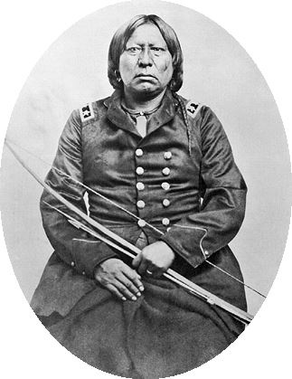 Иллюстрация к книге — Индейские войны [i_047.jpg]