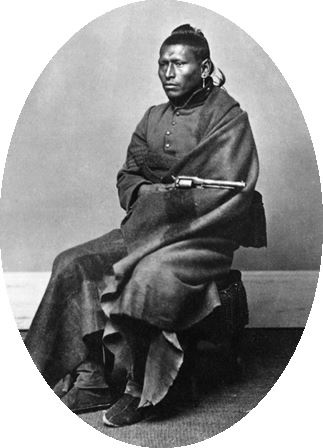 Иллюстрация к книге — Индейские войны [i_092.jpg]