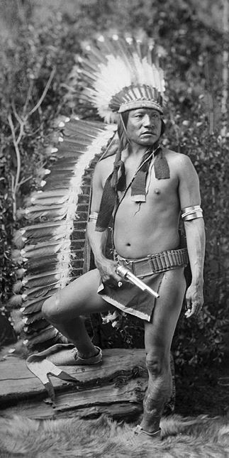 Иллюстрация к книге — Индейские войны [i_094.jpg]