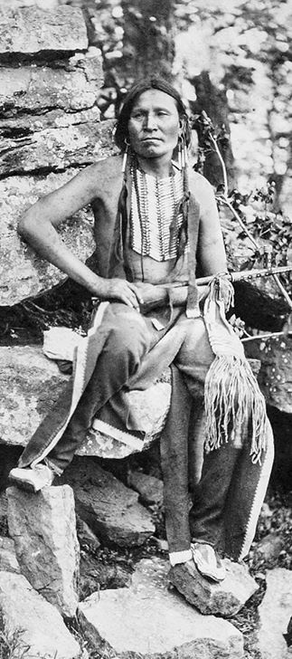 Иллюстрация к книге — Индейские войны [i_101.jpg]