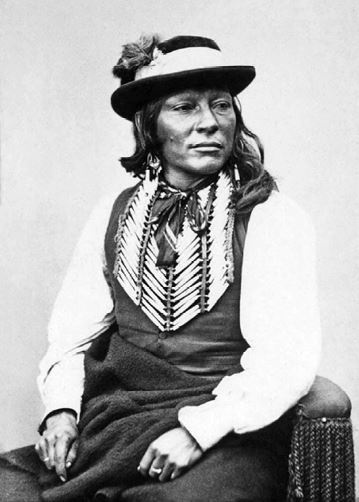 Иллюстрация к книге — Индейские войны [i_113.jpg]