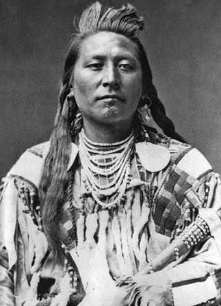 Иллюстрация к книге — Индейские войны [i_135.jpg]