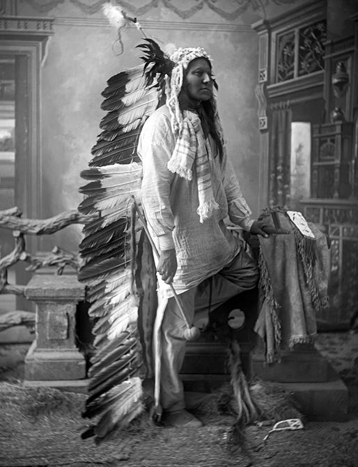 Иллюстрация к книге — Индейские войны [i_140.jpg]