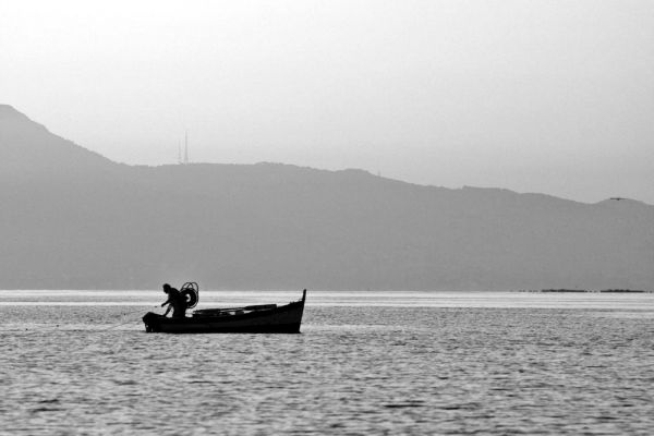 Иллюстрация к книге — Вкус итальянской осени [i_017.jpg]