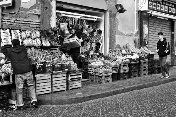 Иллюстрация к книге — Вкус итальянской осени [i_031.jpg]