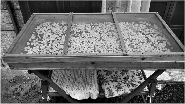 Иллюстрация к книге — Вкус итальянской осени [i_039.jpg]