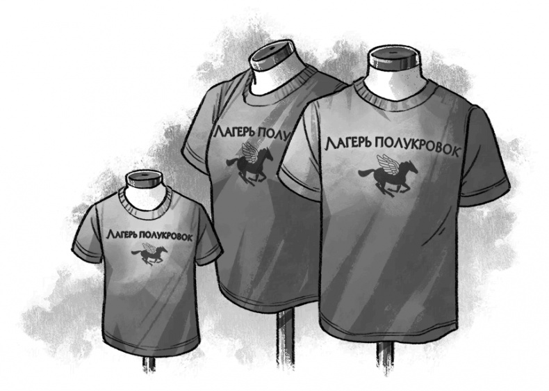 Иллюстрация к книге — Лагерь полукровок: совершенно секретно [i_006.jpg]