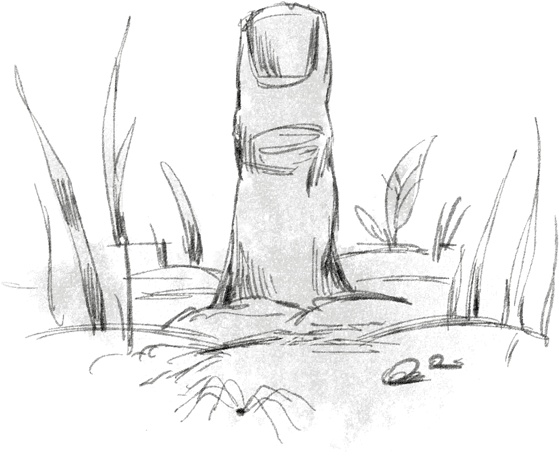 Иллюстрация к книге — Страшные истории для рассказа в темноте [i_003.jpg]