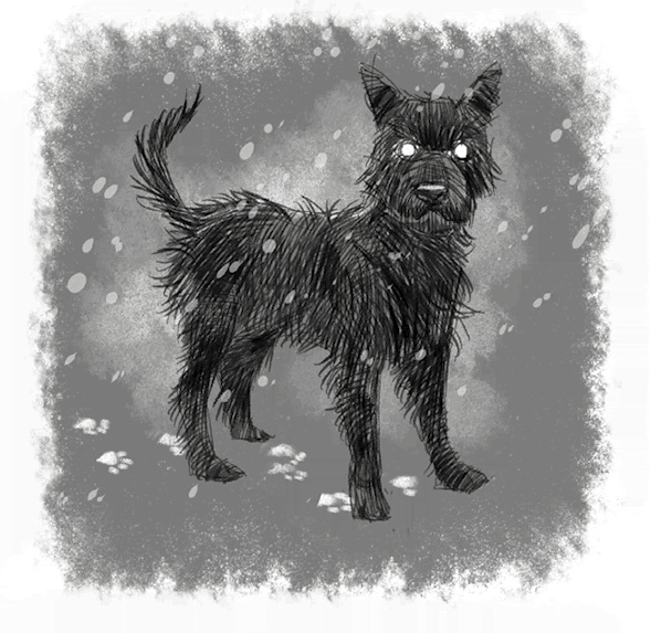 Иллюстрация к книге — Страшные истории для рассказа в темноте [i_021.jpg]