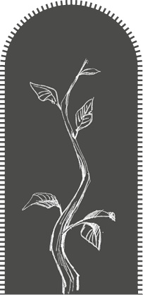 Иллюстрация к книге — Страшные истории для рассказа в темноте [i_034.jpg]