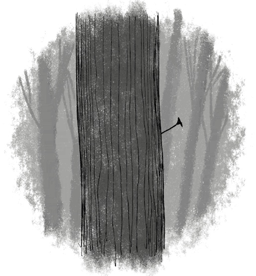 Иллюстрация к книге — Страшные истории для рассказа в темноте [i_042.jpg]