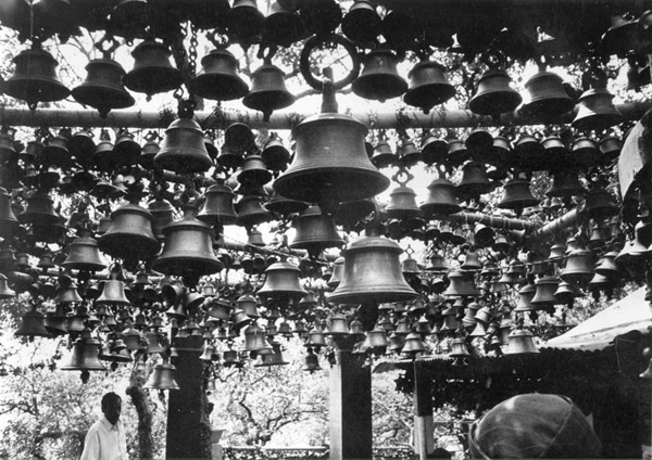 Иллюстрация к книге — Учись слушать. Серфинг на радиоволне [i_001.jpg]