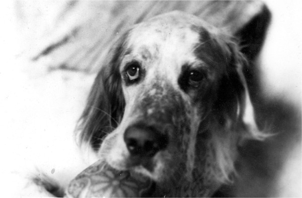 Иллюстрация к книге — Учись слушать. Серфинг на радиоволне [i_013.jpg]