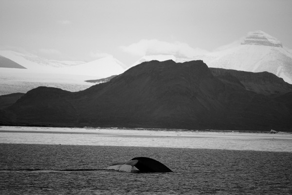 Иллюстрация к книге — Учись слушать. Серфинг на радиоволне [i_049.jpg]