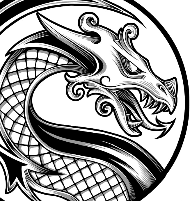 Иллюстрация к книге — Рождение дракона [i_002.jpg]