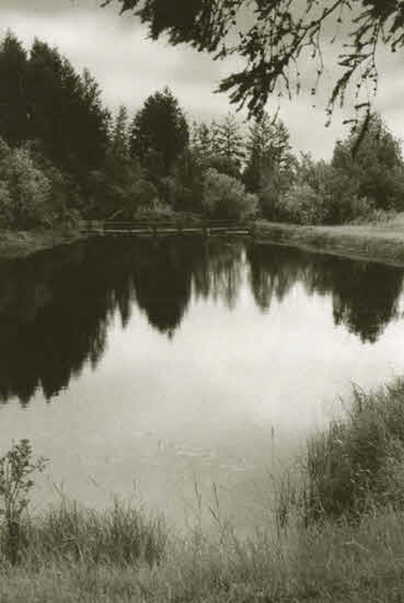 Иллюстрация к книге — Алексей Кулаковский [i_006.jpg]