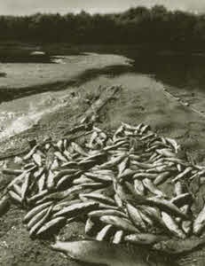 Иллюстрация к книге — Алексей Кулаковский [i_008.jpg]