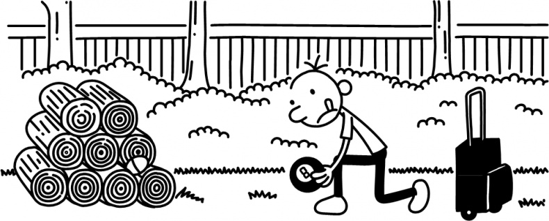 Иллюстрация к книге — Полоса невезения [i_345.jpg]