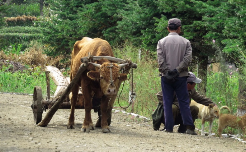 Иллюстрация к книге — Спросите у северокорейца. Бывшие граждане о жизни внутри самой закрытой страны мира [i_005.jpg]