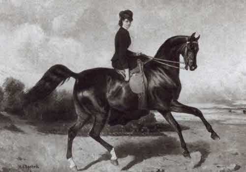 Иллюстрация к книге — Николай Некрасов [i_036.jpg]