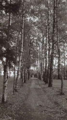 Иллюстрация к книге — Николай Некрасов [i_054.jpg]