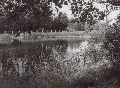 Иллюстрация к книге — Николай Некрасов [i_056.jpg]