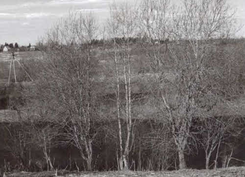 Иллюстрация к книге — Николай Некрасов [i_071.jpg]