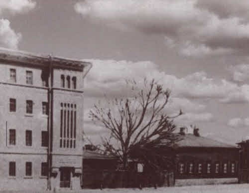 Иллюстрация к книге — Марина Цветаева. Твоя неласковая ласточка [i_009.jpg]