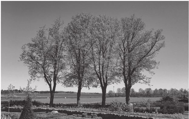 Иллюстрация к книге — 42 истории для менеджера, или Сказки на ночь от Генри Минцберга [i_010.jpg]