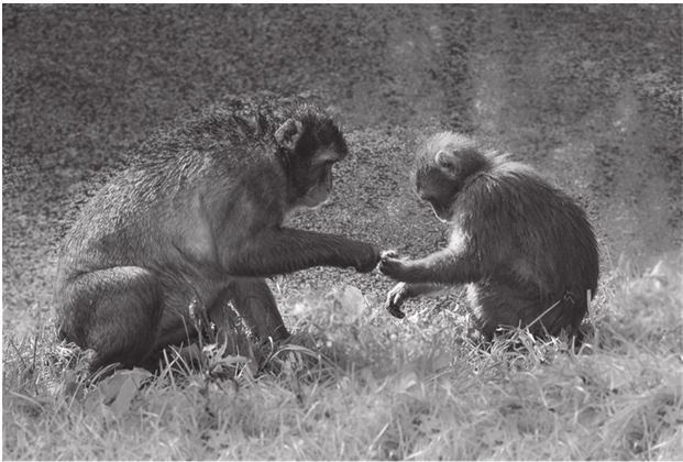 Иллюстрация к книге — 42 истории для менеджера, или Сказки на ночь от Генри Минцберга [i_019.jpg]