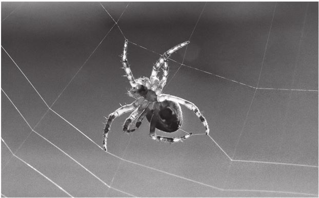 Иллюстрация к книге — 42 истории для менеджера, или Сказки на ночь от Генри Минцберга [i_029.jpg]