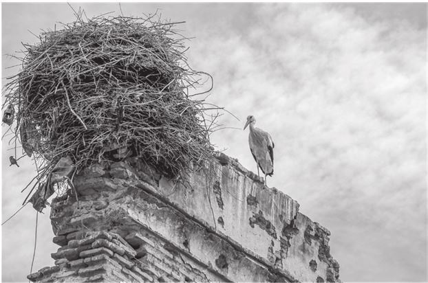 Иллюстрация к книге — 42 истории для менеджера, или Сказки на ночь от Генри Минцберга [i_037.jpg]