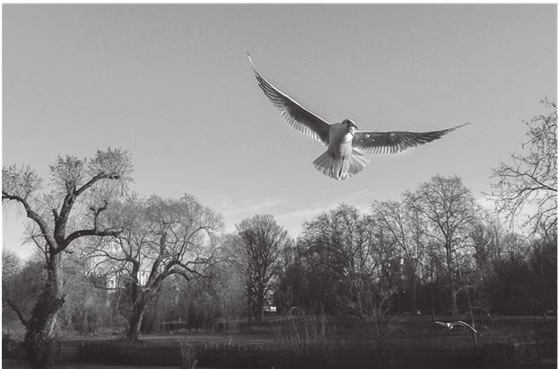 Иллюстрация к книге — 42 истории для менеджера, или Сказки на ночь от Генри Минцберга [i_044.jpg]