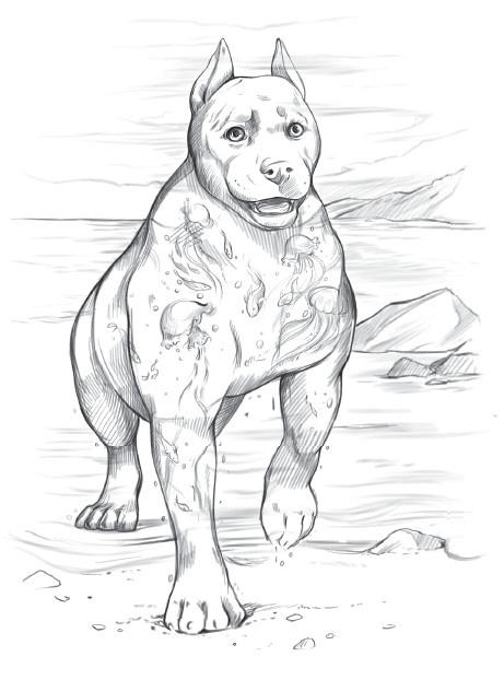 Иллюстрация к книге — Горький пепел [i_010.jpg]