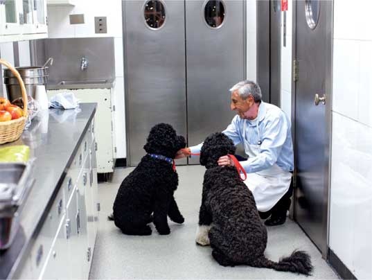 Иллюстрация к книге — Becoming. Моя история  [i_043.jpg]