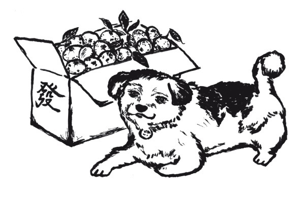 Иллюстрация к книге — Китай [i_016.jpg]