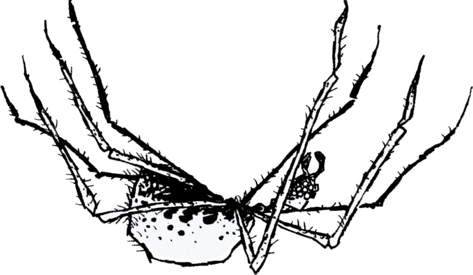 Иллюстрация к книге — Друзья навсегда [i_025.jpg]