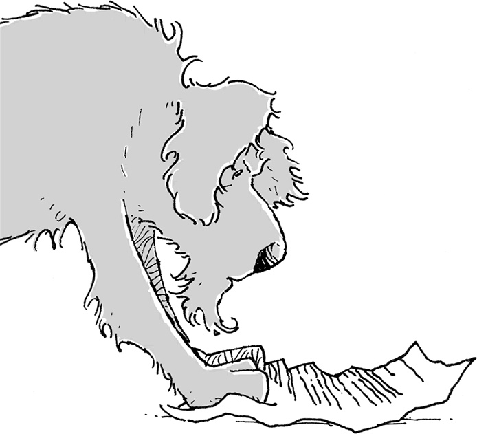 Иллюстрация к книге — Друзья навсегда [i_037.jpg]