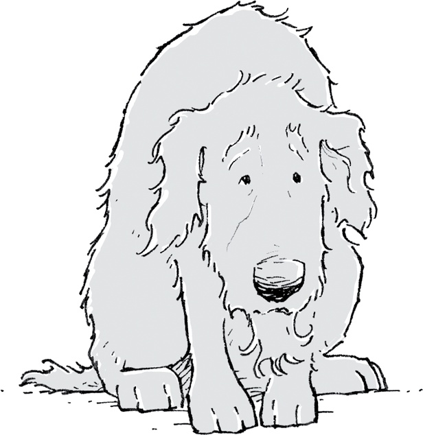 Иллюстрация к книге — Друзья навсегда [i_039.jpg]