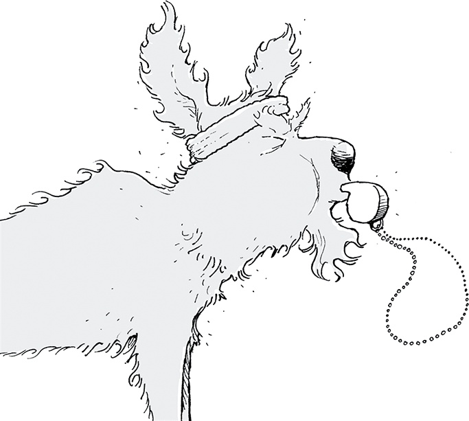 Иллюстрация к книге — Друзья навсегда [i_042.jpg]