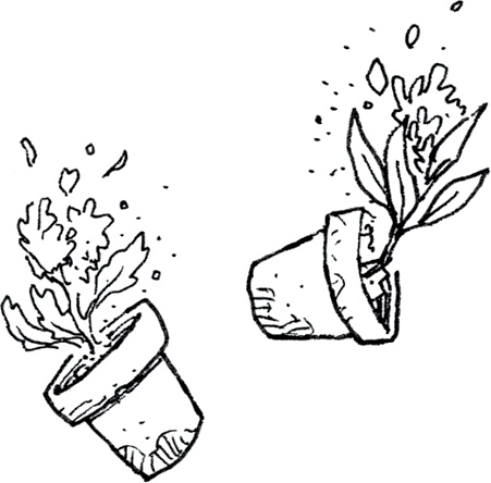 Иллюстрация к книге — Друзья навсегда [i_057.jpg]