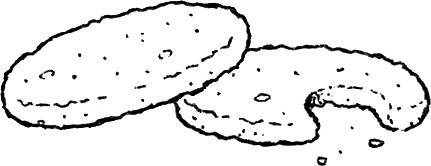 Иллюстрация к книге — Друзья навсегда [i_065.jpg]