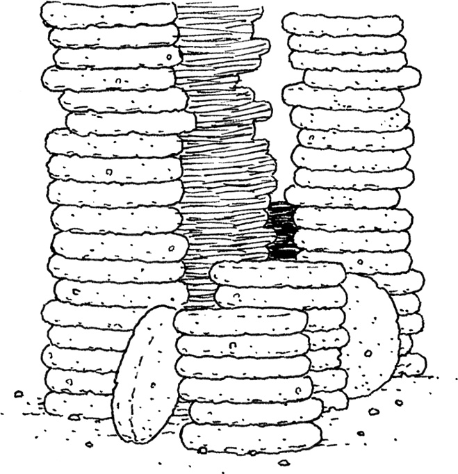 Иллюстрация к книге — Друзья навсегда [i_067.jpg]